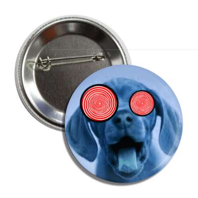 crazy dog spiral eyes blue button