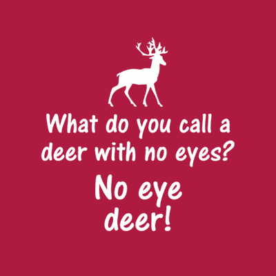 What Do You Call A Deer With No Eyes No Eye Deer No Idea Pun 